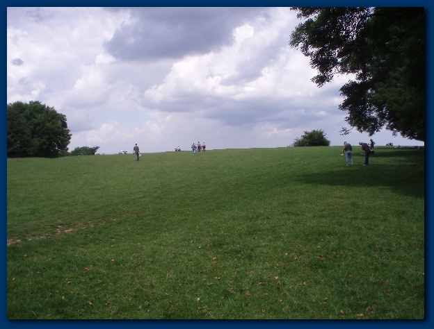 600x449 pixels (112K)